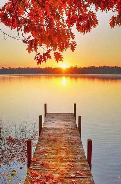 Pourquoi choisir de consulter Brigitte, voyante indépendante par téléphone si on habite à Genève ?