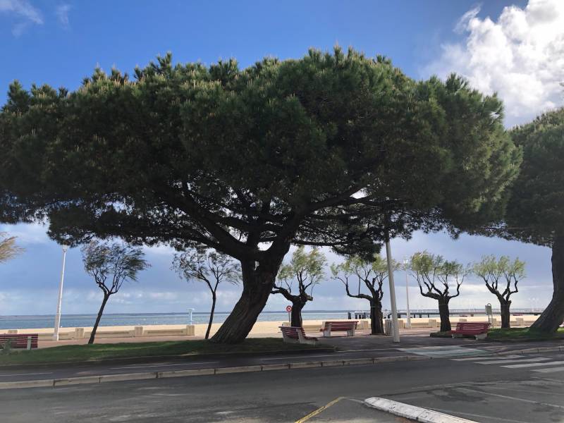 Voyance par téléphone aussi sans photo à Lyon