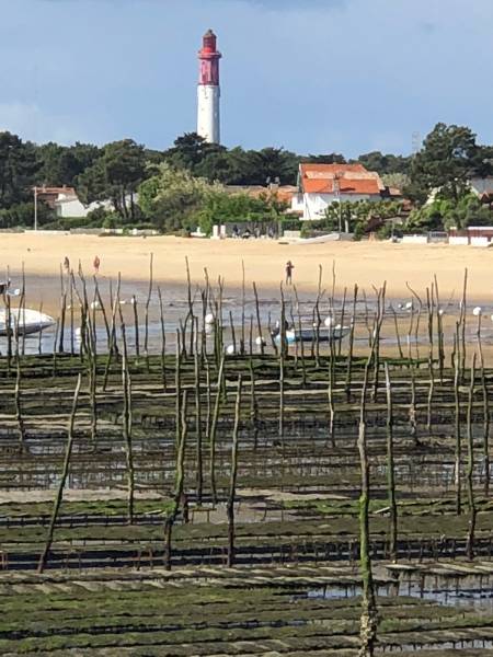 Voyance dans le domaine sentimental à Marseille ....et ailleurs i