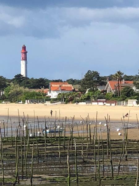 Voyante sérieuse à lyon