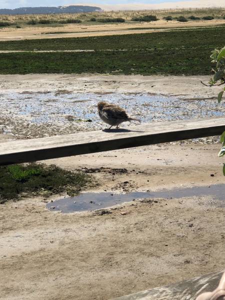 voyance par téléphone de qualité à Lyon