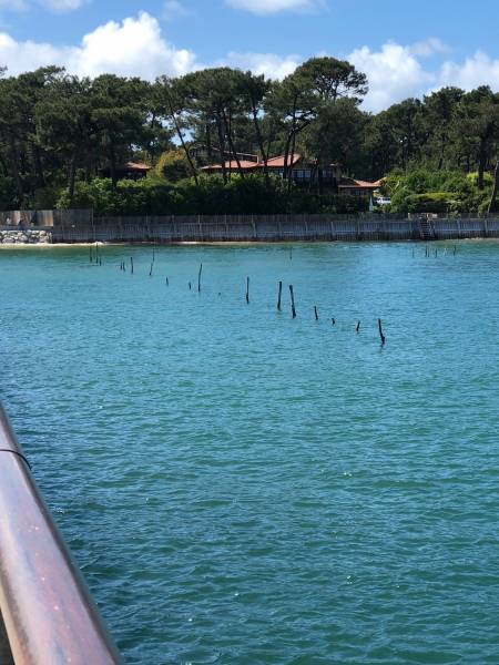 cabinet de voyance à lyon et villefranche