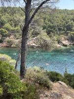 Emilie voyance Montpellier