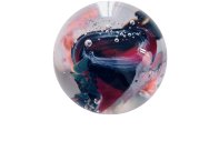 Cabinet Brigitte